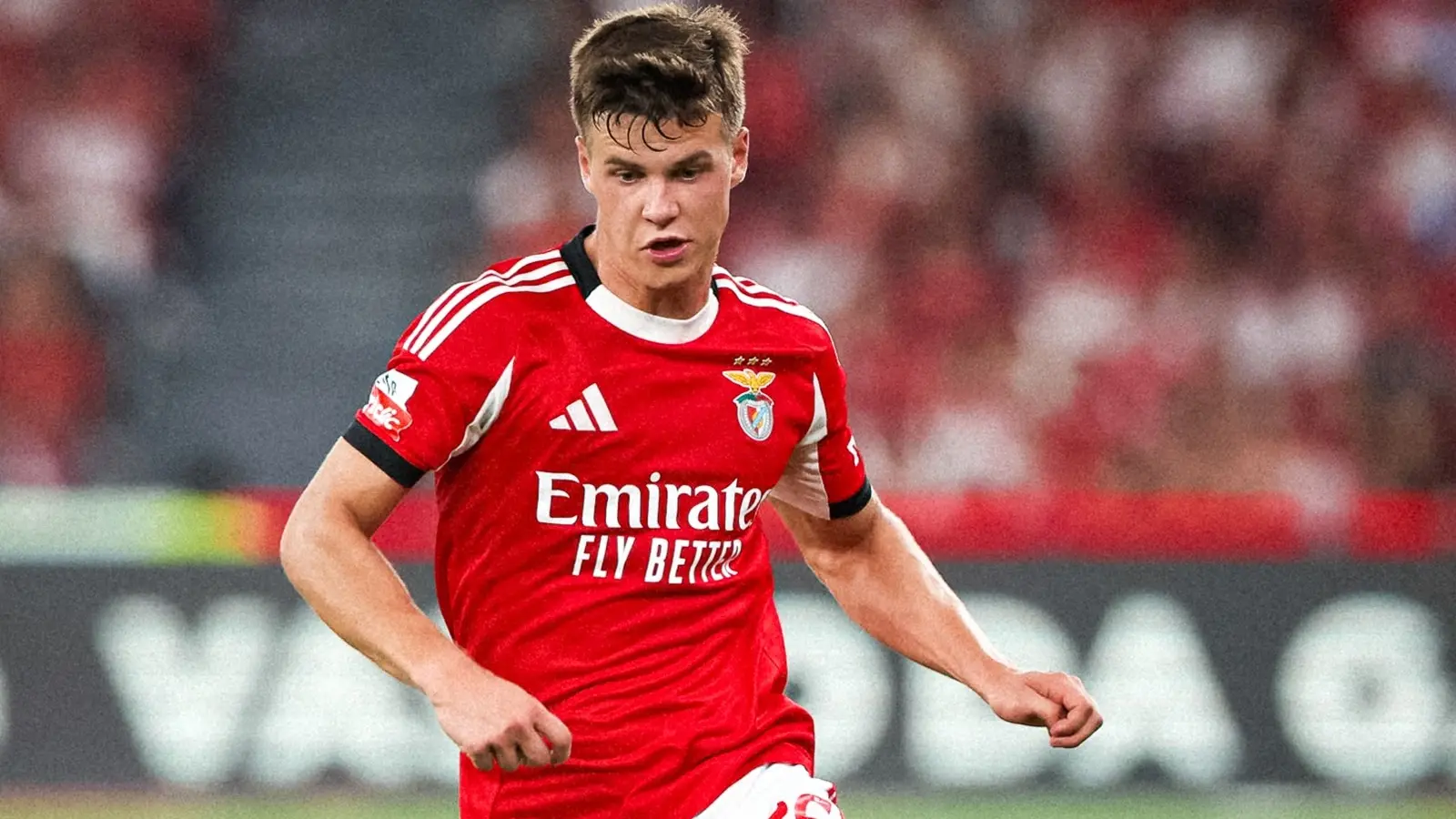 Benfica vs Qarabag, Ponturi Pariuri Champions League, 16 septembrie 2025