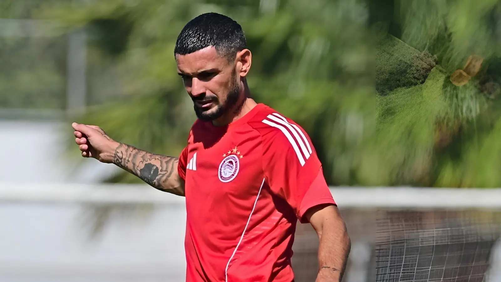 Olympiakos vs Pafos, Ponturi Pariuri Champions League, 17 septembrie 2025