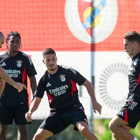 Benfica – Rio Ave – 23 septembrie 2025 – Ne bazăm pe un Superpariu interesant în Primeira Liga!