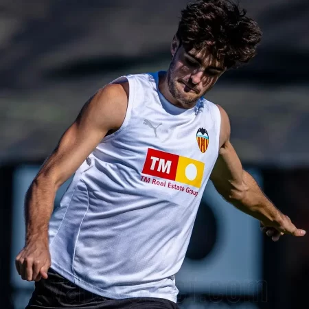 Alaves vs Valencia, Ponturi Pariuri La Liga, 20.10.2025