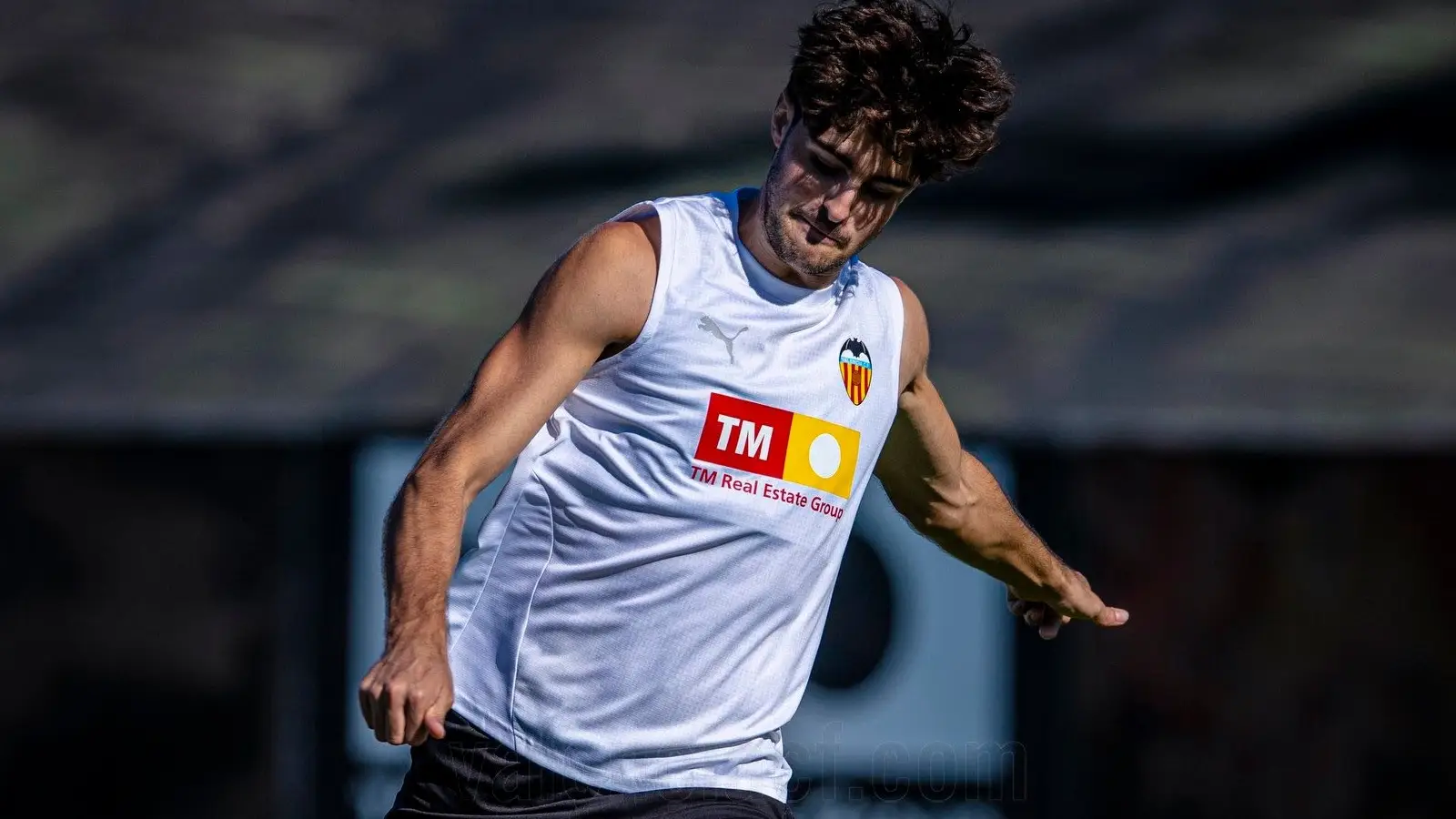 Alaves vs Valencia, Ponturi Pariuri La Liga, 20.10.2025