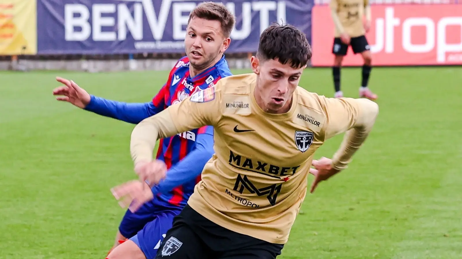FC Voluntari vs ASA Targu Mures, 18.10.2025, Ponturi Pariuri Liga 2
