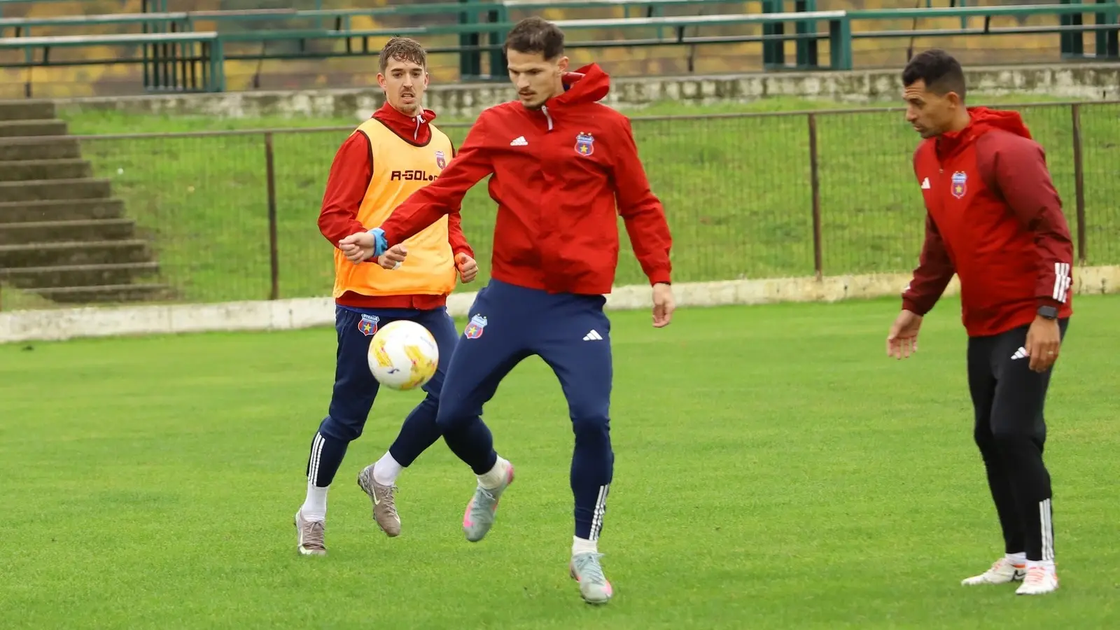 Olimpia Satu Mare vs CSA Steaua, 25 octombrie 2025, Ponturi Pariuri Liga 2