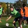 Estonia vs Italia, Ponturi pariuri Preliminarii Campionatul Mondial, 11.10.2025
