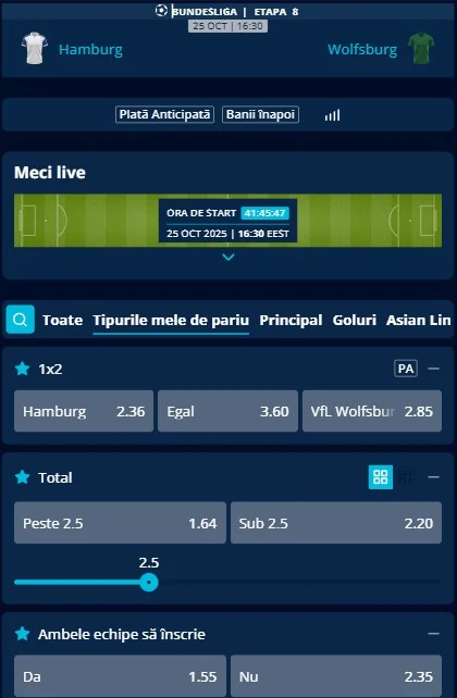 Cote pariuri Hamburger SV - Wolfsburg