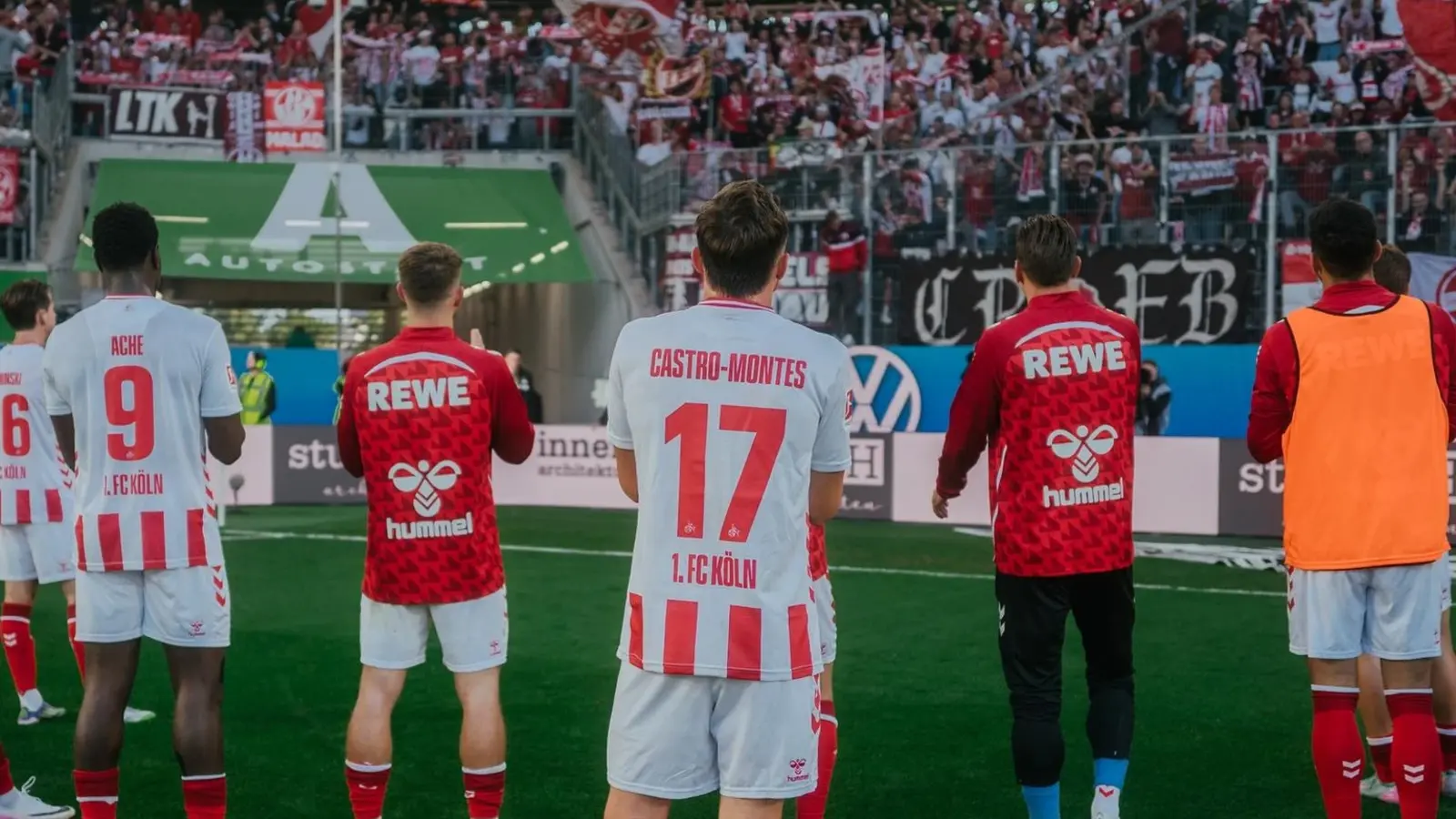 Hoffenheim - FC Koln, Ponturi pariuri Bundesliga, 03.10.2025