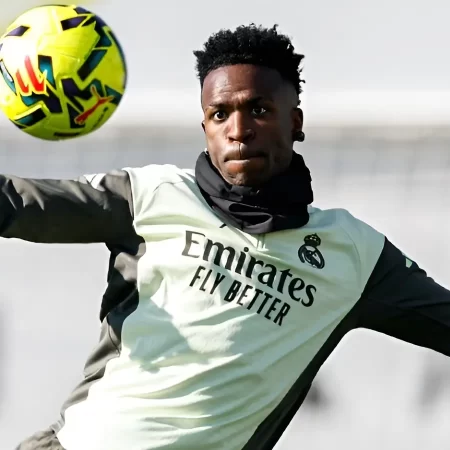 Biletul Zilei Mr Bit din 23 noiembrie 2025 – Cinci pariuri simple pentru o cotă de 11