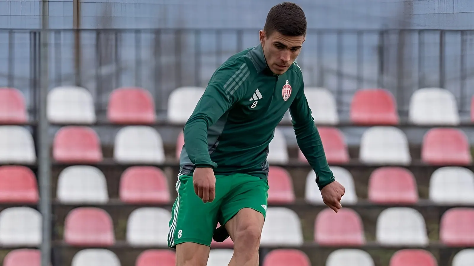 CS Afumati vs Sepsi OSK, 23 noiembrie 2025, Ponturi Pariuri Liga 2