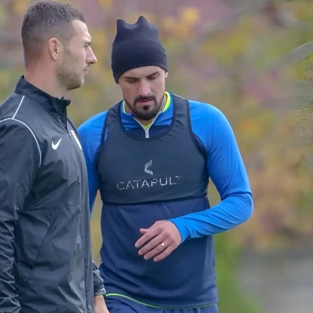 Chindia Târgoviște vs Tunari, 29.11.2025, Ponturi Pariuri Liga 2