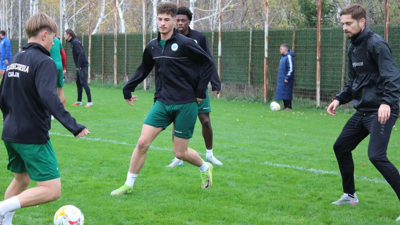 Concordia Chiajna vs FC Bihor, 20.11.2025, Ponturi Pariuri Liga 2