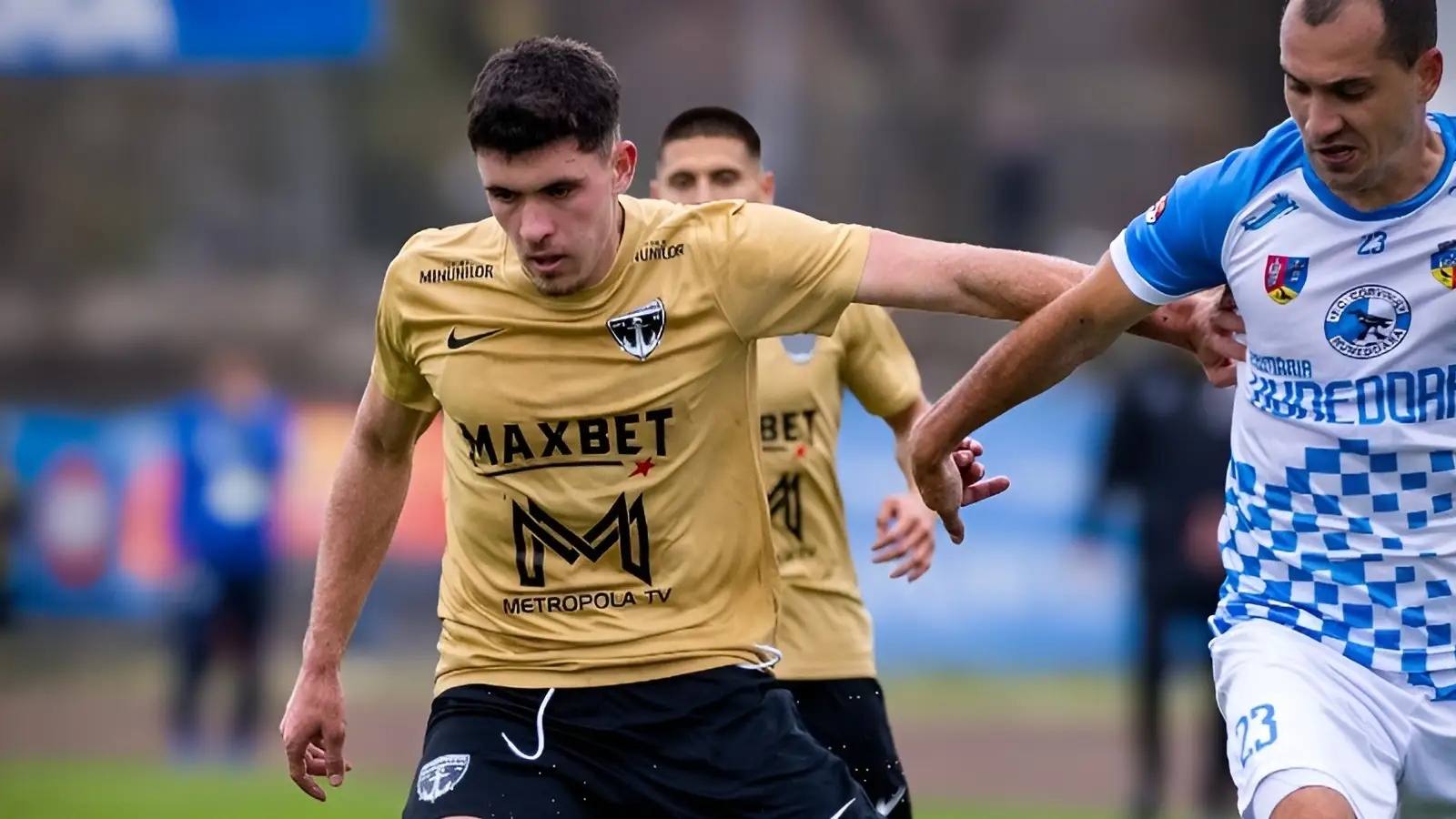 FC Voluntari vs Selimbar, 22.11.2025, Ponturi Pariuri Liga 2