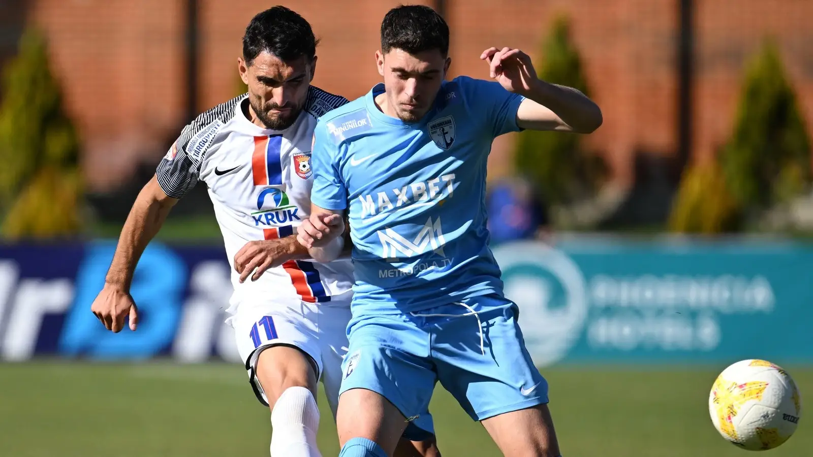 FC Voluntari vs Sepsi OSK, 4 noiembrie 2025, Ponturi Pariuri Liga 2