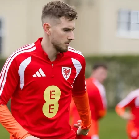 Liechtenstein vs Țara Galilor, Ponturi Pariuri Preliminarii Campionatul Mondial, 15.11.2025