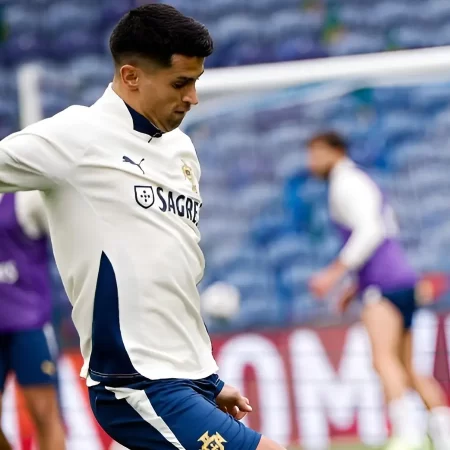 Portugalia vs Armenia, 16.11.2025, Ponturi Pariuri Preliminarii Campionatul Mondial