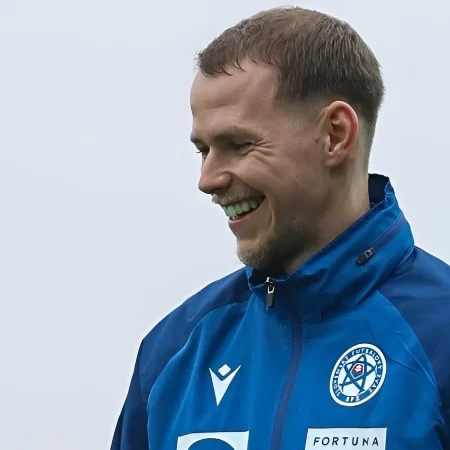 Slovacia vs Irlanda de Nord, 14 noiembrie 2025, Ponturi Pariuri Preliminarii Campionatul Mondial