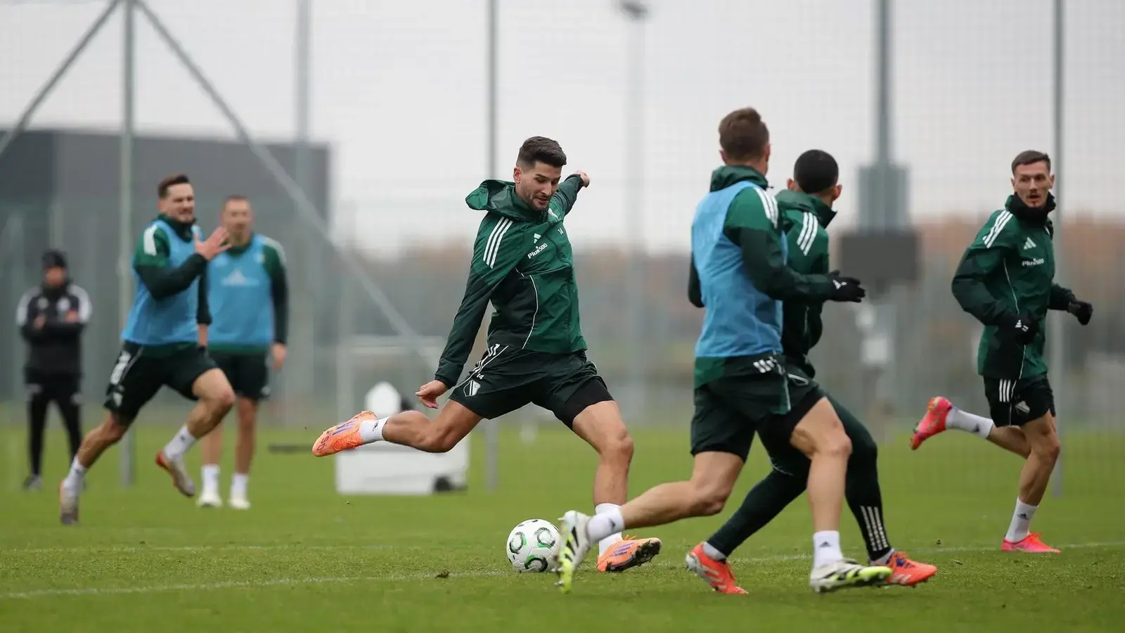 Celje - Legia, Ponturi pariuri Conference League, 6 noiembrie 2025