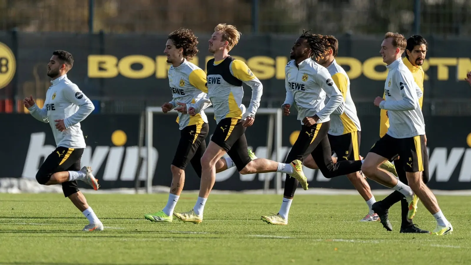 Dortmund vs Stuttgart - Ponturi pariuri Bundesliga - 22.11.2025