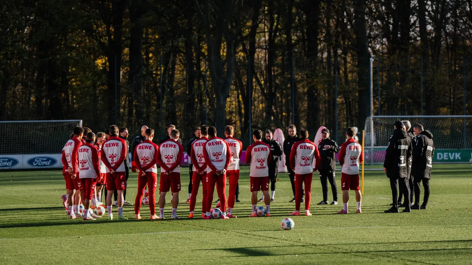 FC Koln vs Frankfurt - Ponturi pariuri Bundesliga - 22.11.2025
