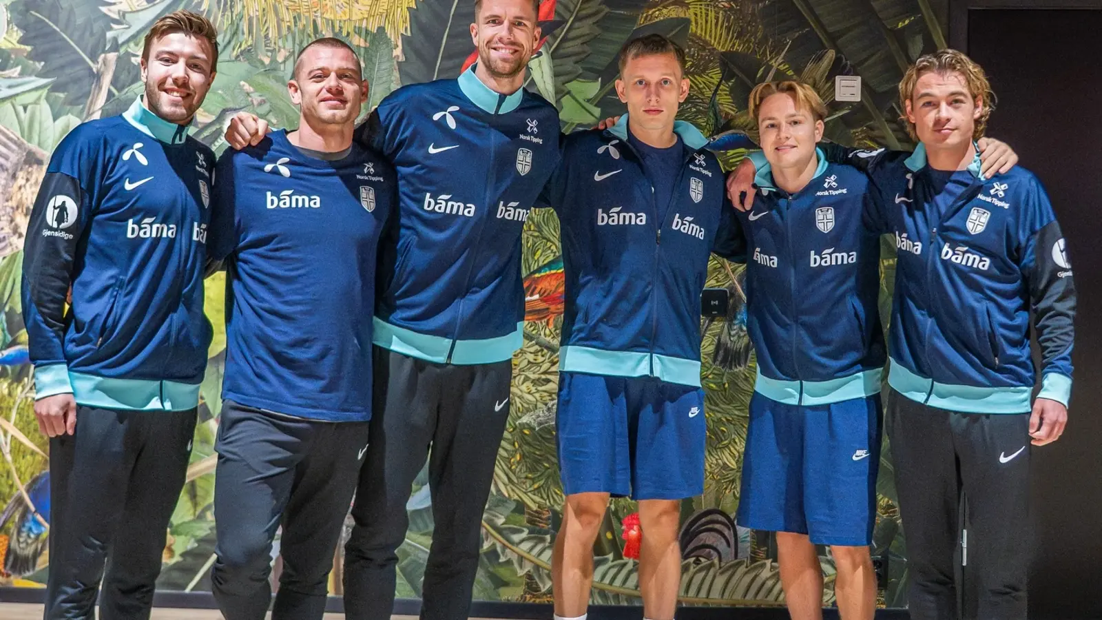 Italia - Norvegia, Ponturi pariuri Preliminarii Campionatul Mondial, 16 noiembrie 2025