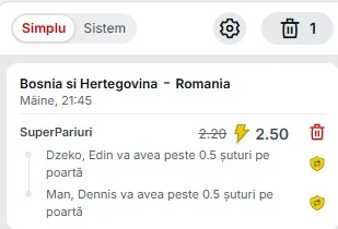 Pariuri speciale Bosnia și Herțegovina - România