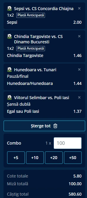Biletul Etapei 17 din Liga a 2-a