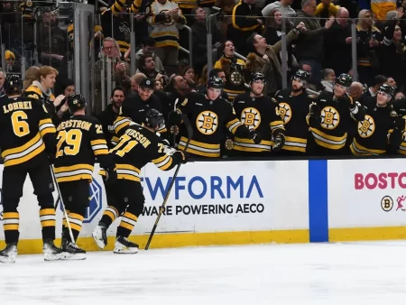 Biletul zilei din hochei 06.12.2025 – Ne bazăm pe 3 partide care formează o cotă de 3.92!