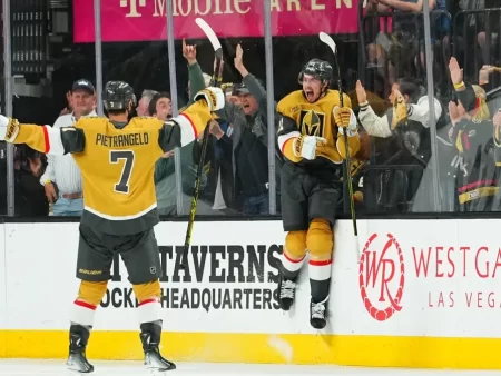 Biletul zilei hochei 11.12.2025 – 3 selecții pentru o cotă de 4.56