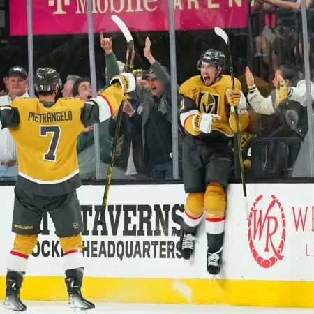 Biletul zilei hochei 11.12.2025 – 3 selecții pentru o cotă de 4.56