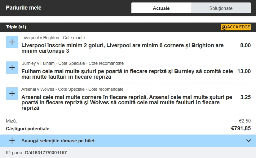 Biletul zilei la Betfair. Cota 317 din Premier League, 13 decembrie 2025 2