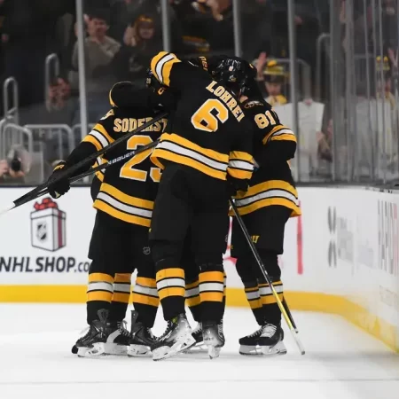 Boston Bruins vs Vancouver Canucks, Ponturi Hochei NHL 20 decembrie 2025