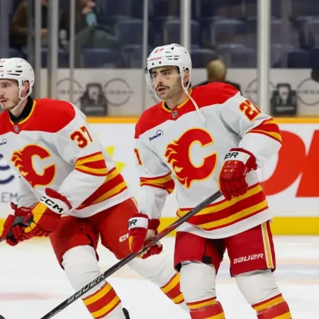 Calgary Flames vs Minnesota Wild – Ponturi Hochei NHL 04 decembrie 2025