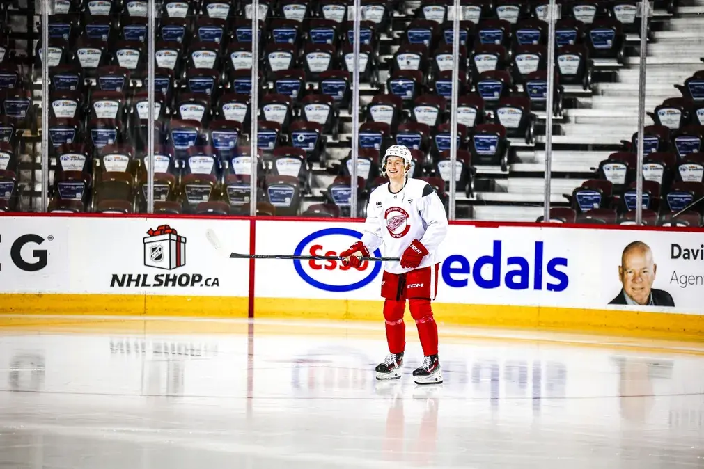 Detroit Red Wings vs Utah Mammoth - Ponturi Hochei NHL, 17 decembrie 2025