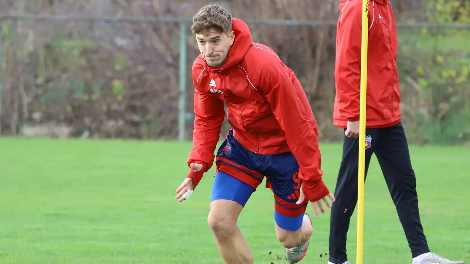 FC Bacau vs CSA Steaua, 06.12.2025, Ponturi Pariuri Liga 2