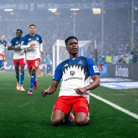 Hoffenheim vs Hamburger SV – Ponturi pariuri Bundesliga – 13.12.2025
