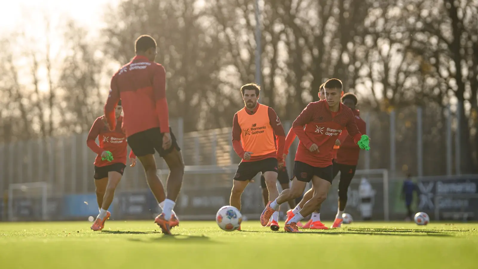 Leverkusen vs FC Koln - Ponturi pariuri Bundesliga - 13.12.2025