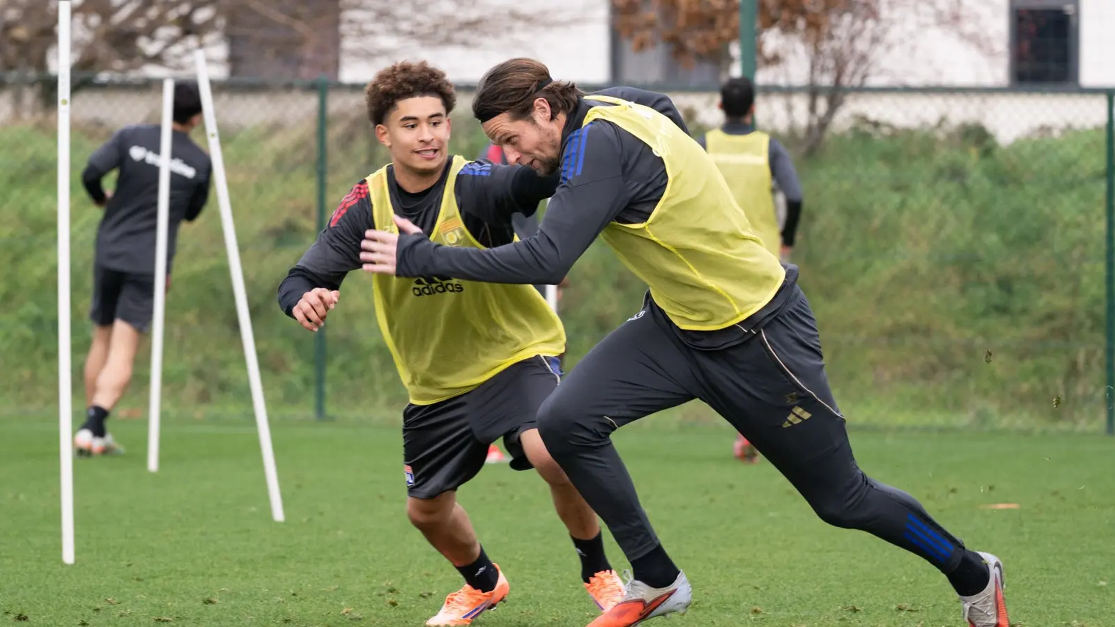 Lyon vs Le Havre - Ponturi pariuri Ligue 1 - 14.12.2025