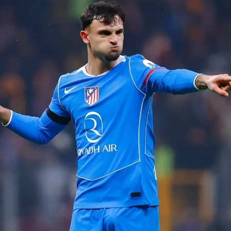 Atletico Madrid vs Mallorca, Ponturi Pariuri LaLiga, 25.01.2026