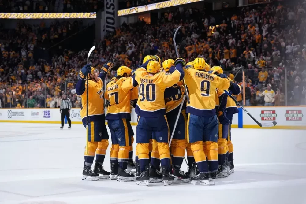 Biletul zilei hochei 17 Ianuarie 2026 - Ne bazăm pe două dispute din NHL - Cota 3.00