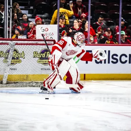 Detroit Red Wings vs San Jose Sharks, Ponturi Hochei NHL, 17.01.2026