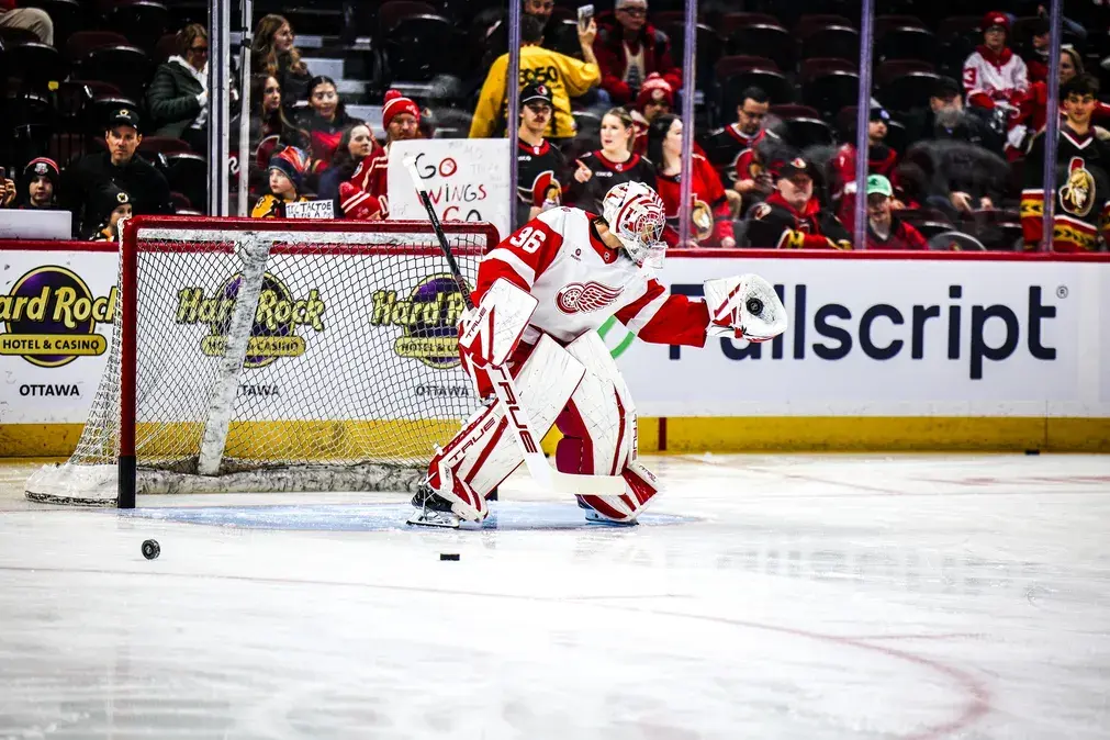 Detroit Red Wings vs San Jose Sharks, Ponturi Hochei NHL, 17.01.2026
