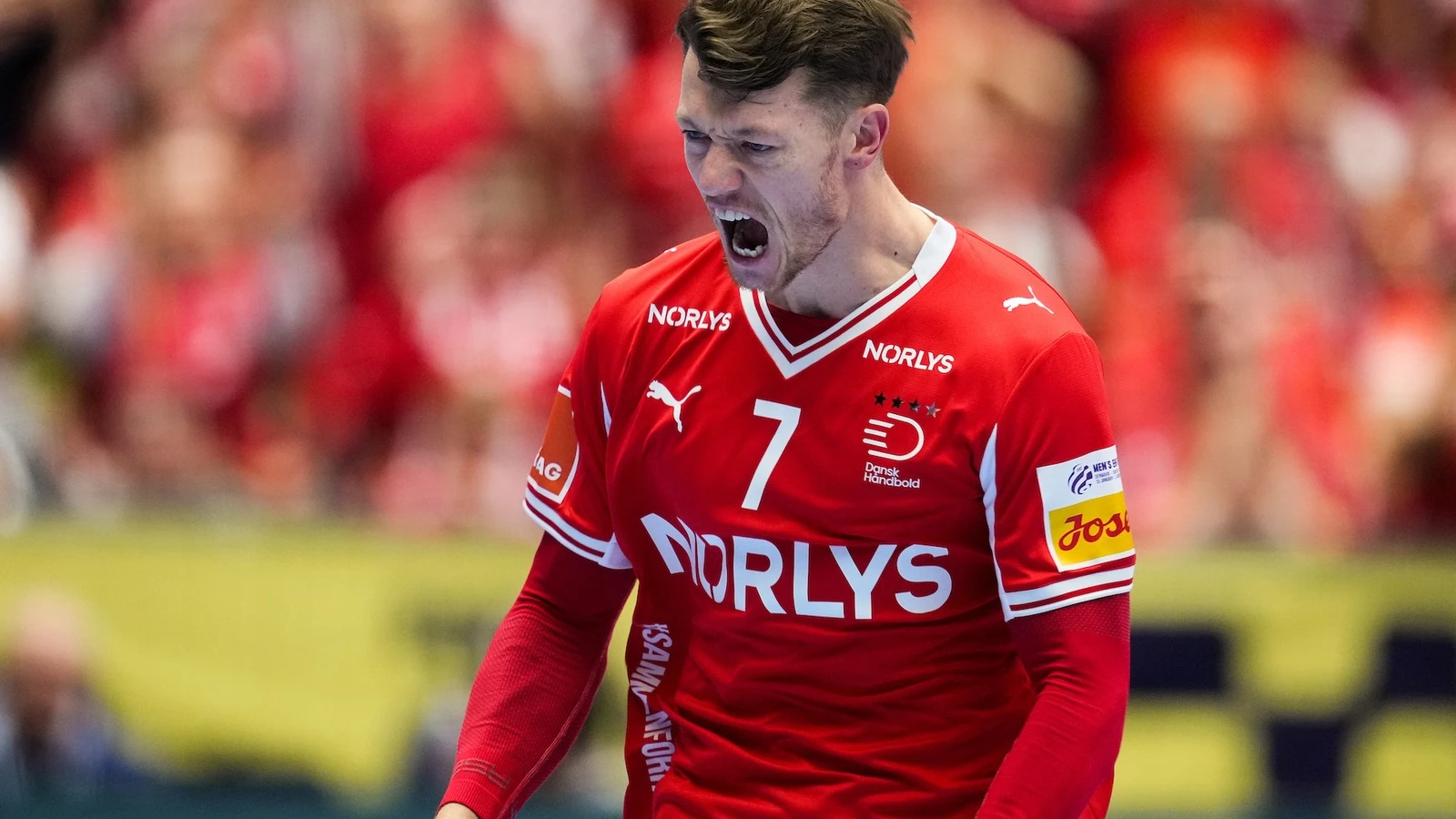 Germania vs Danemarca – Ponturi Pariuri CE handbal 26.01.2026