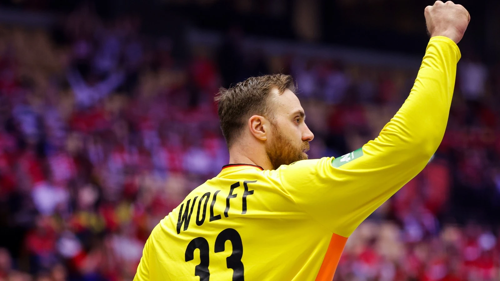 Germania vs Franța - Ponturi Pariuri CE handbal masculin 28.01.2026