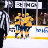 Nashville Predators vs Washington Capitals, Ponturi Hochei NHL, 12.01.2026