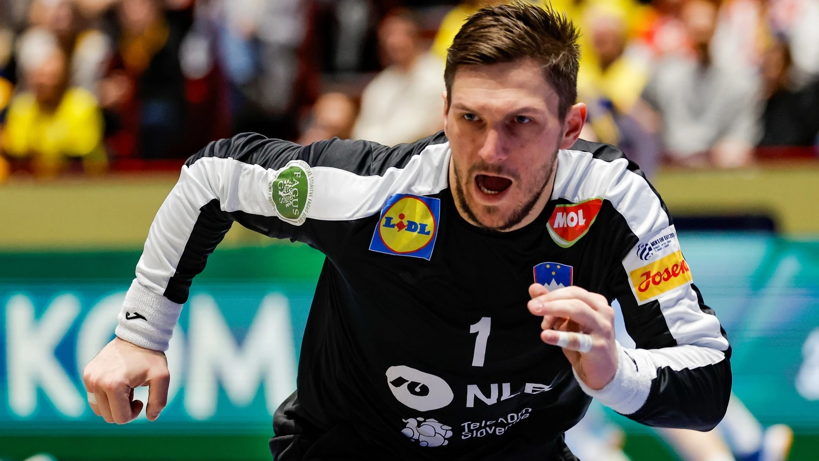 Slovenia vs Ungaria – Ponturi Pariuri Campionatul European de handbal masculin 25.01.2026