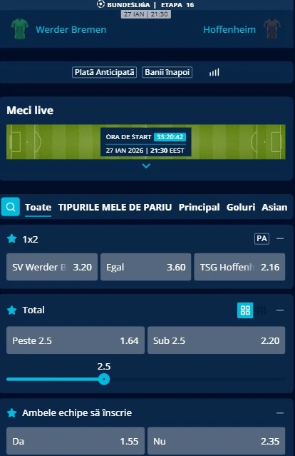Cote pariuri Bremen vs Hoffenheim