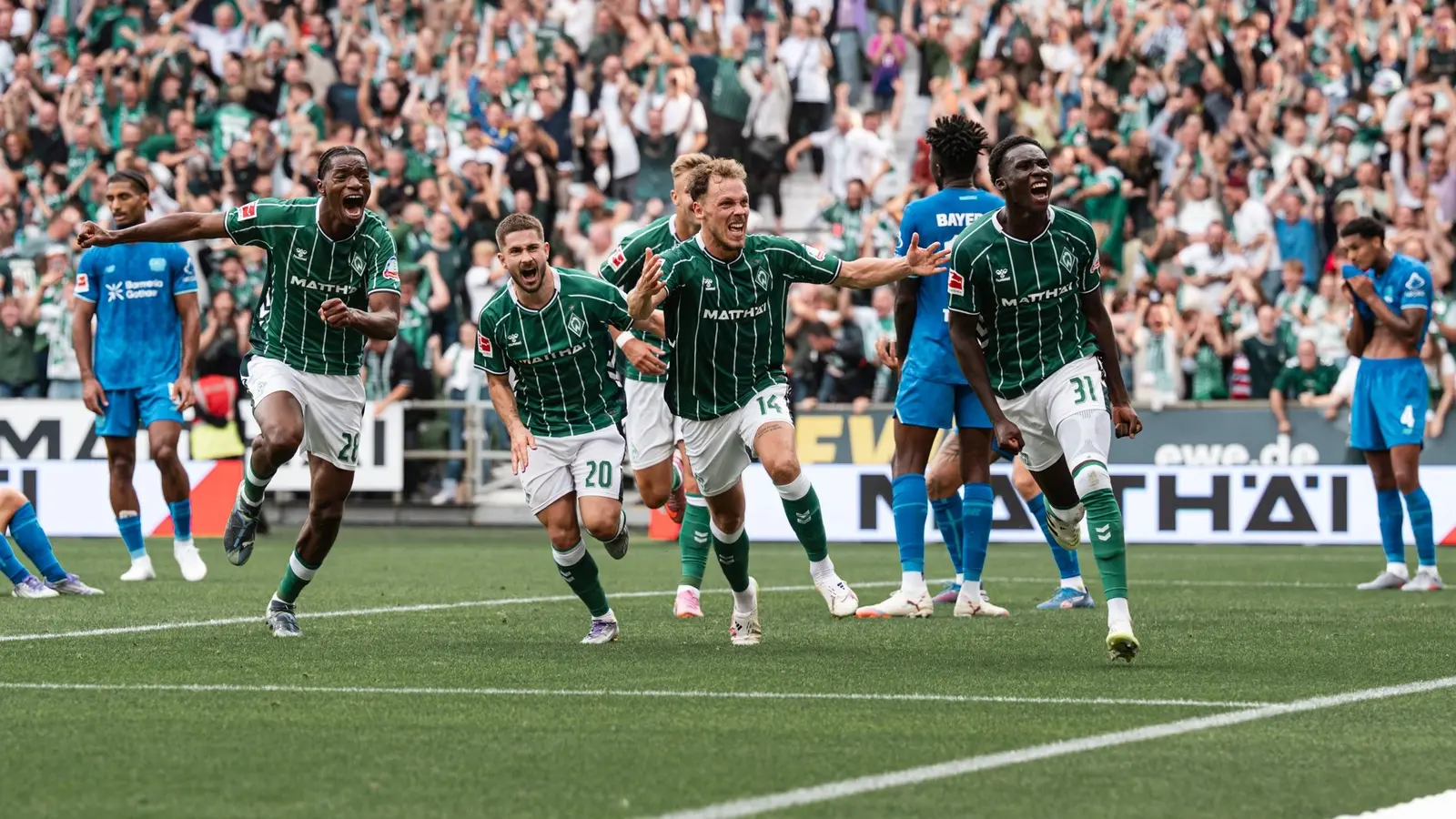 Bremen vs Hoffenheim - Ponturi pariuri Bundesliga - 27.01.2026