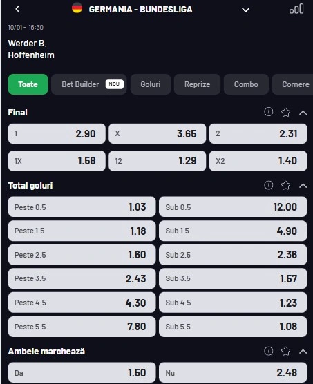 Cote pariuri Bremen vs Hoffenheim