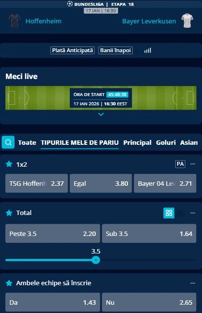Cote pariuri Hoffenheim - Leverkusen