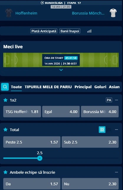 Cote pariuri Hoffenheim - Monchengladbach