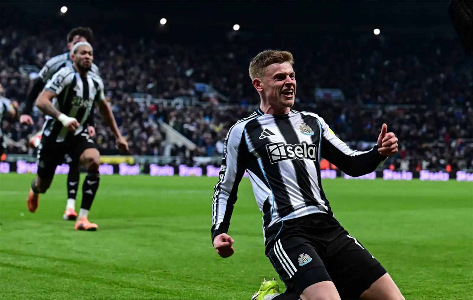 Wolves vs Newcastle - Ponturi Pariuri Premier League - 18.01.2026